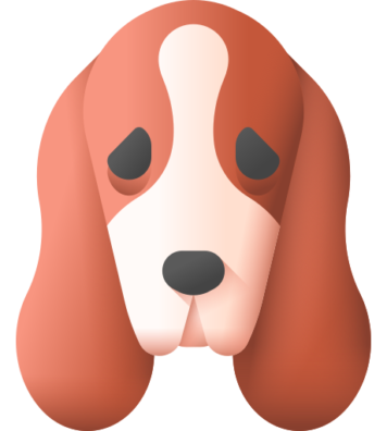 020-Basset Hound