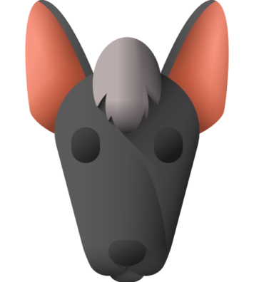 033-xoloitzcuintle